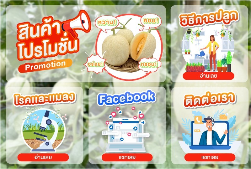 Rich Menu ธุรกิจแคนตาลูป