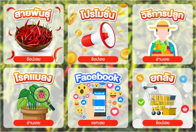 Rich Menu ธุรกิจพริก